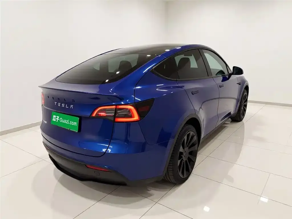 Tesla Model Y — фото 9
