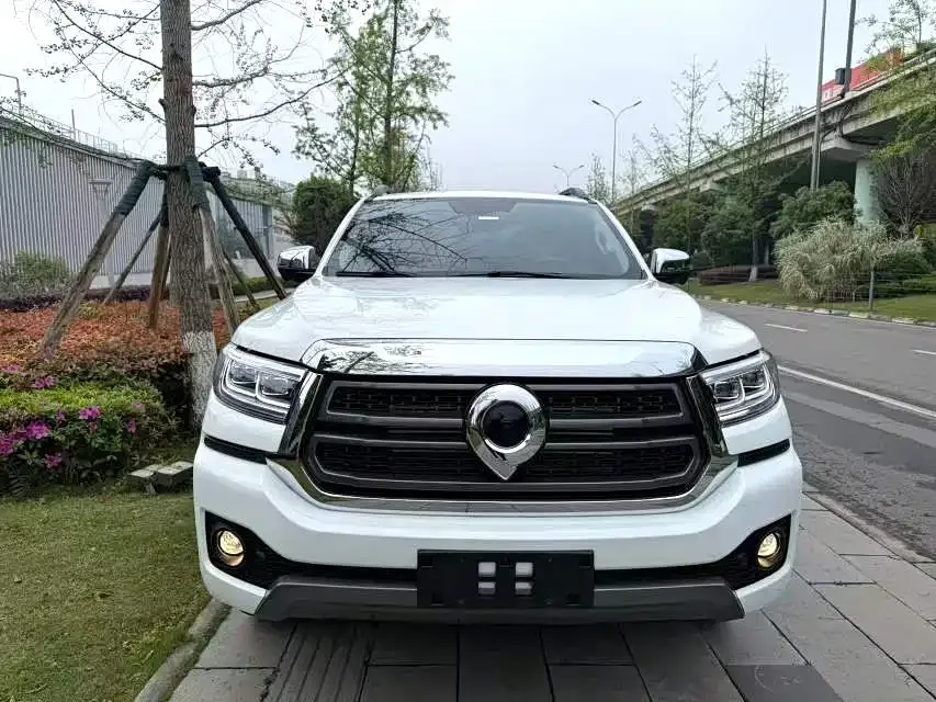 Great Wall Pao 2023 из CN, фото 8