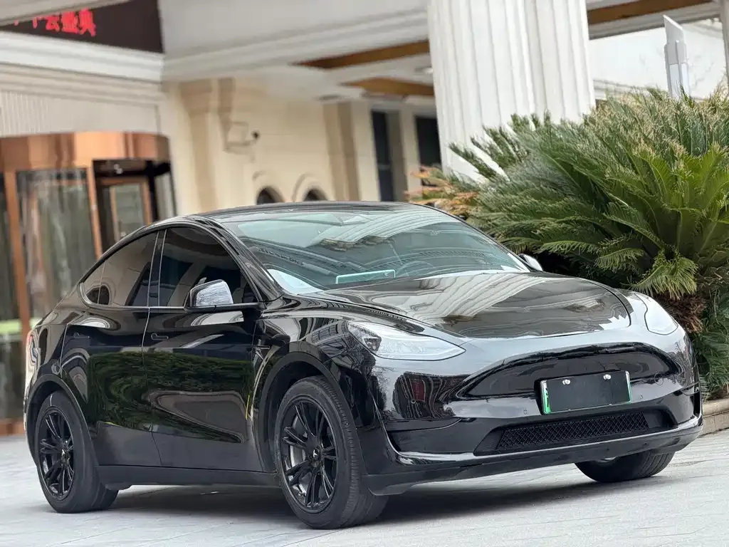 Tesla Model Y — фото 2