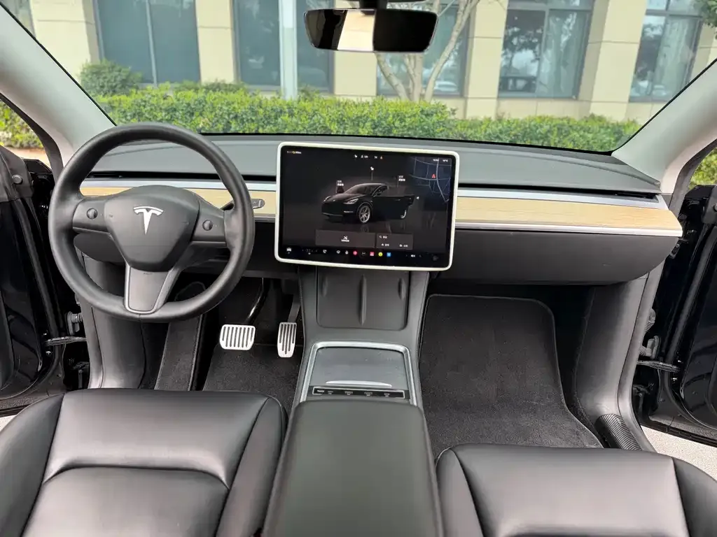 Tesla Model Y — фото 10
