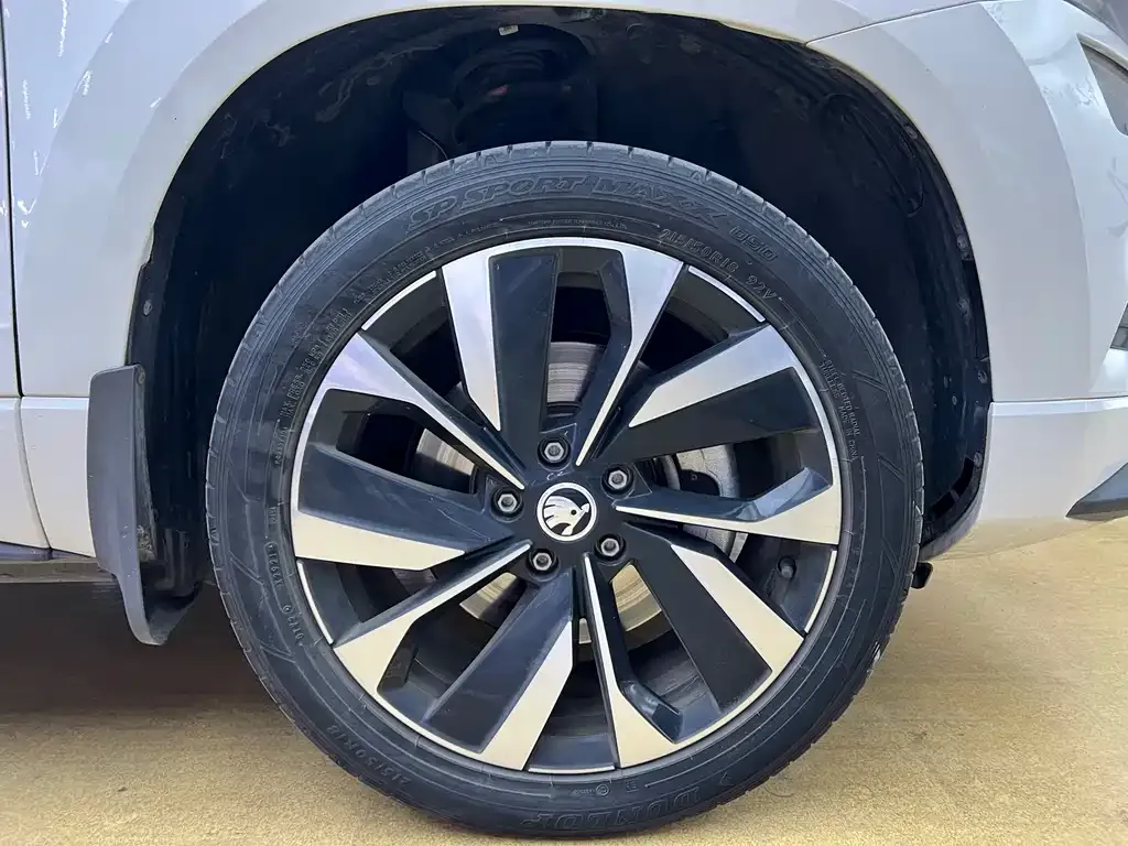 Skoda Karoq 2021 из CN, фото 9