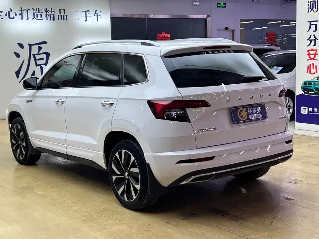 Skoda Karoq 2021 из CN, фото 6