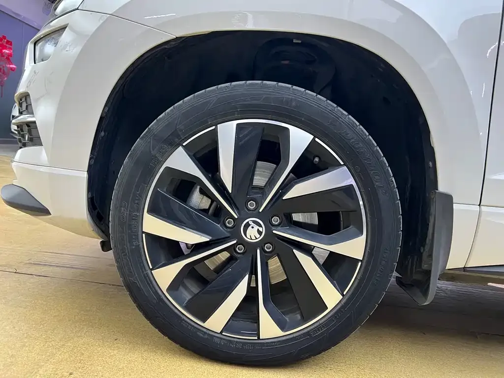 Skoda Karoq 2021 из CN, фото 8