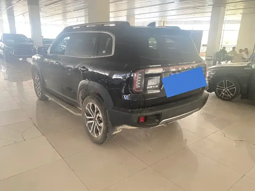 Haval Big Dog 2024 из CN, фото 4
