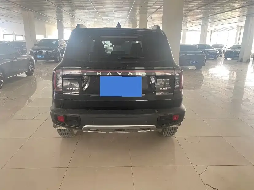 Haval Big Dog 2024 из CN, фото 6