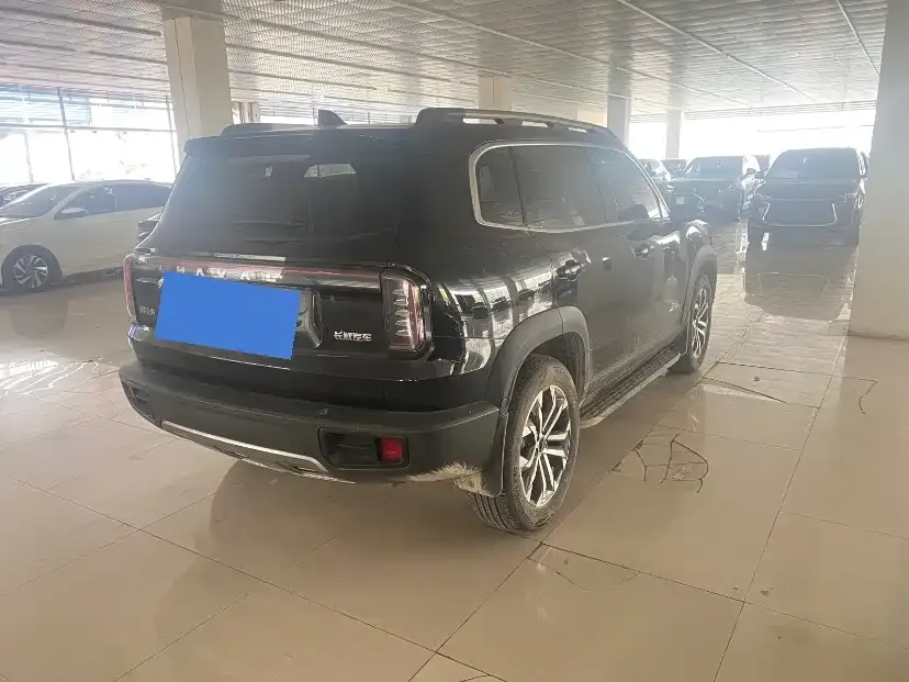 Haval Big Dog 2024 из CN, фото 3