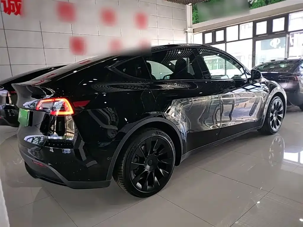 Tesla Model Y — фото 10