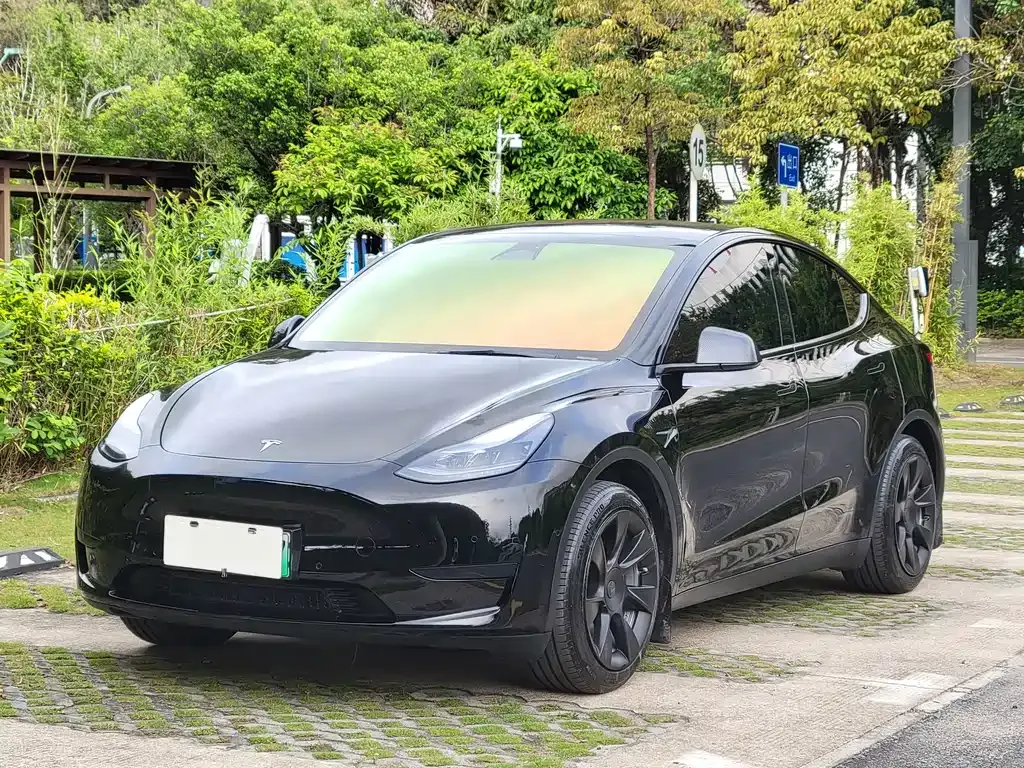 Tesla Model Y — фото 1