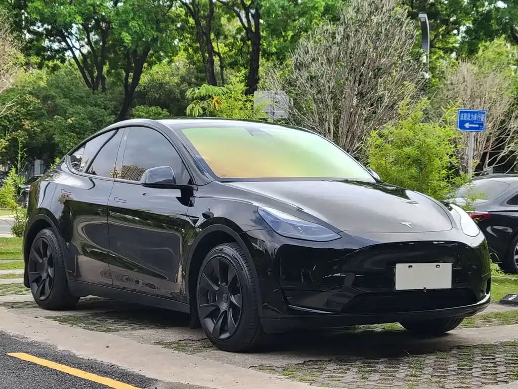 Tesla Model Y — фото 7