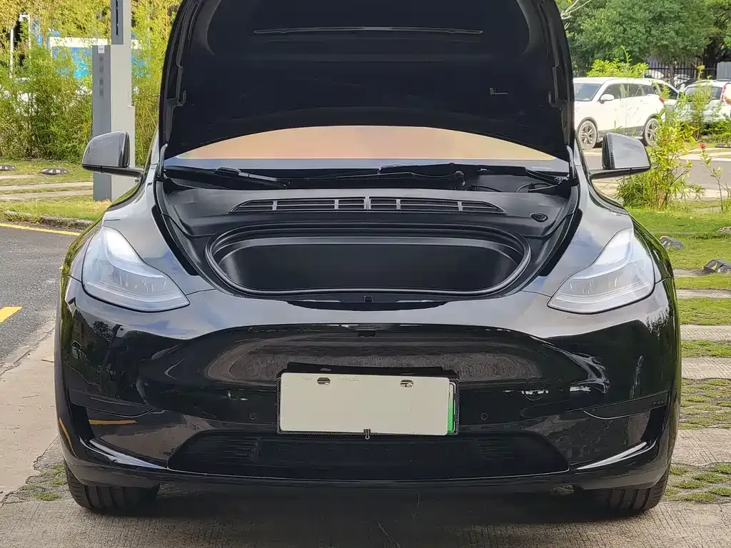 Tesla Model Y — фото 3