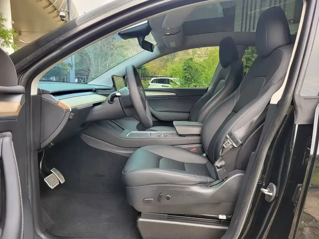 Tesla Model Y — фото 10