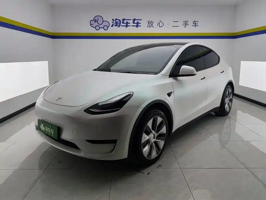 Tesla Model Y 2021 из CN, фото 1