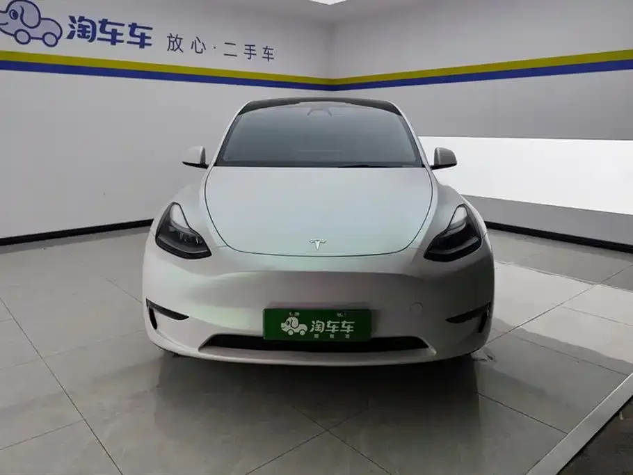Tesla Model Y 2021 из CN, фото 8