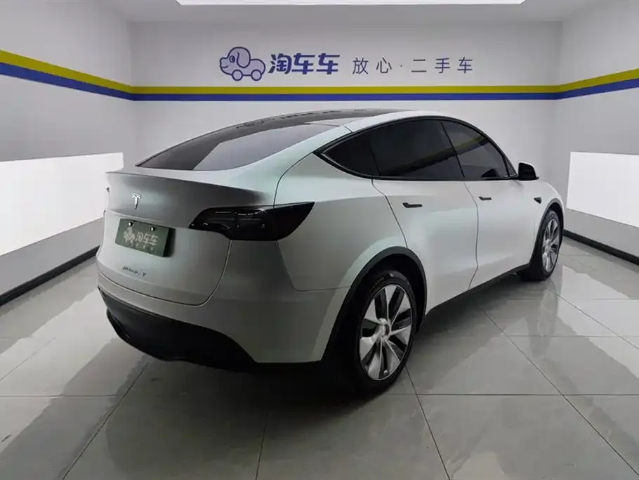Tesla Model Y 2021 из CN, фото 5