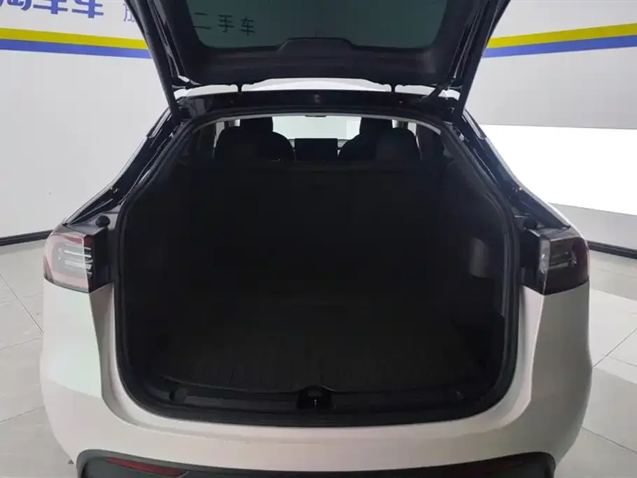 Tesla Model Y 2021 из CN, фото 4