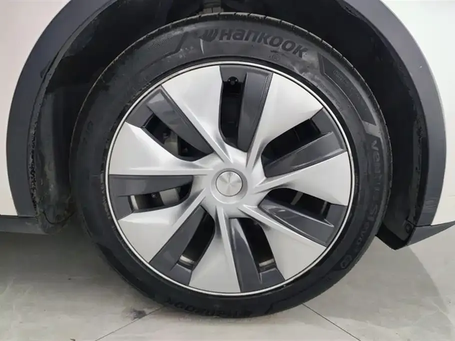Tesla Model Y 2021 из CN, фото 9