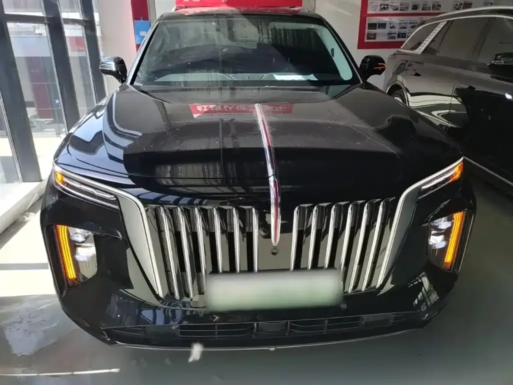 Hongqi E-HS9 2023 из CN, фото 9