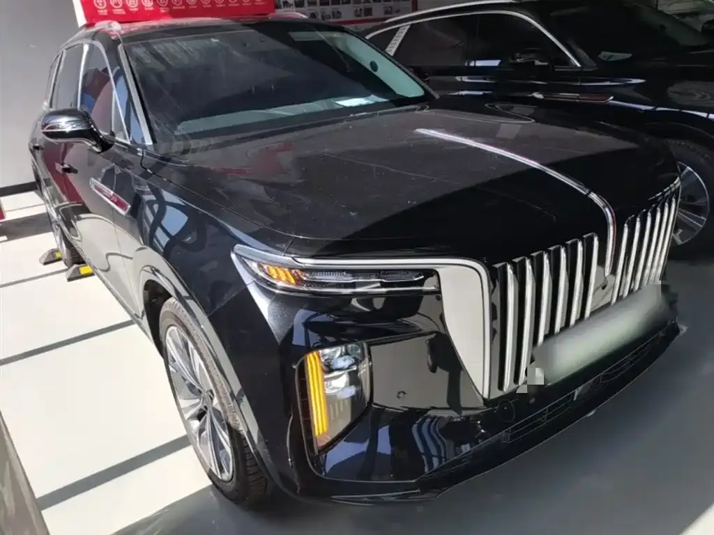 Hongqi E-HS9 2023 из CN, фото 8