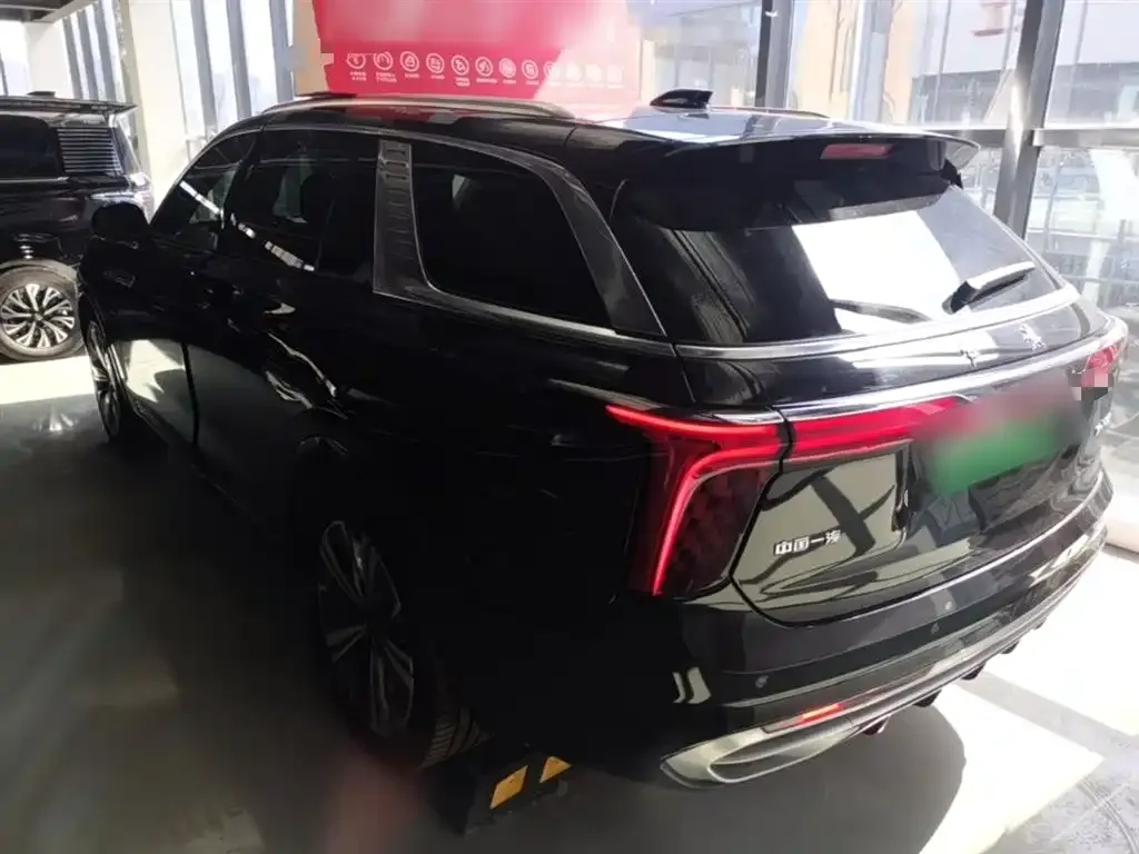 Hongqi E-HS9 2023 из CN, фото 4