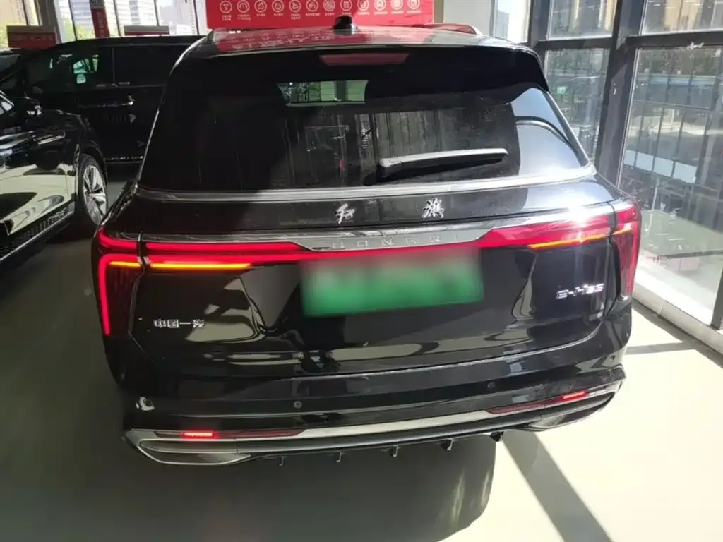Hongqi E-HS9 2023 из CN, фото 7
