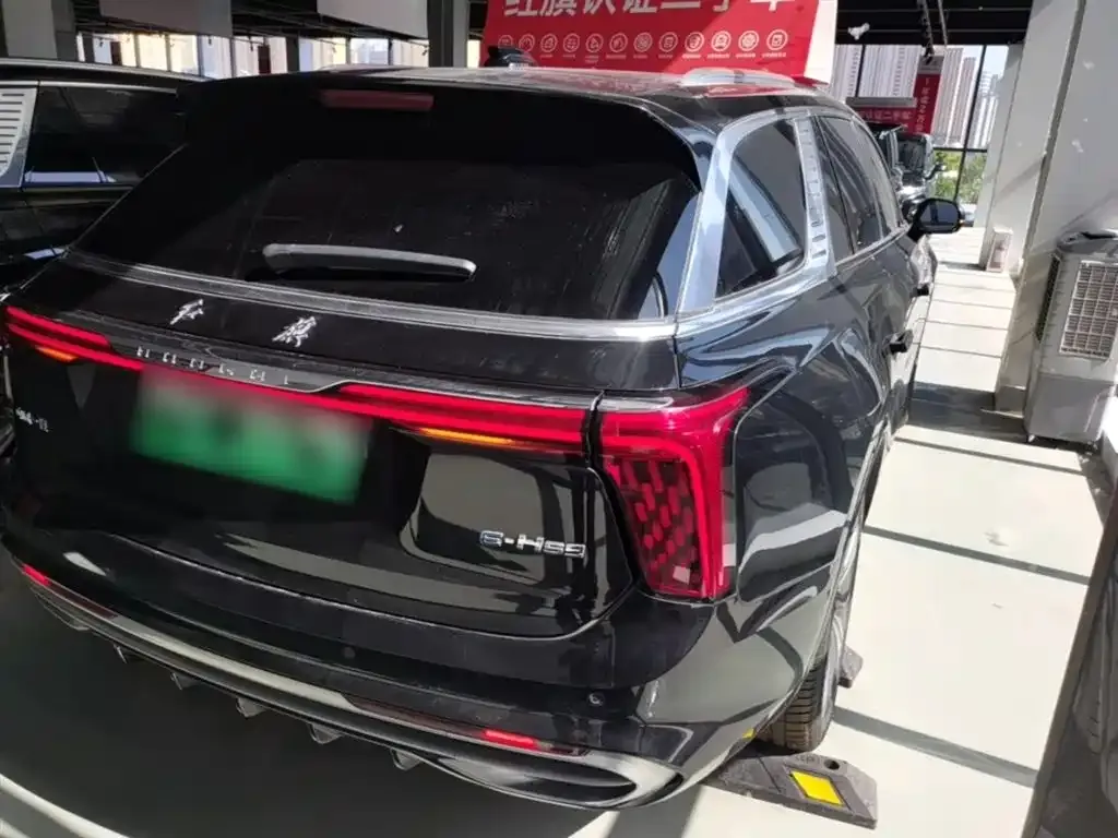 Hongqi E-HS9 2023 из CN, фото 10