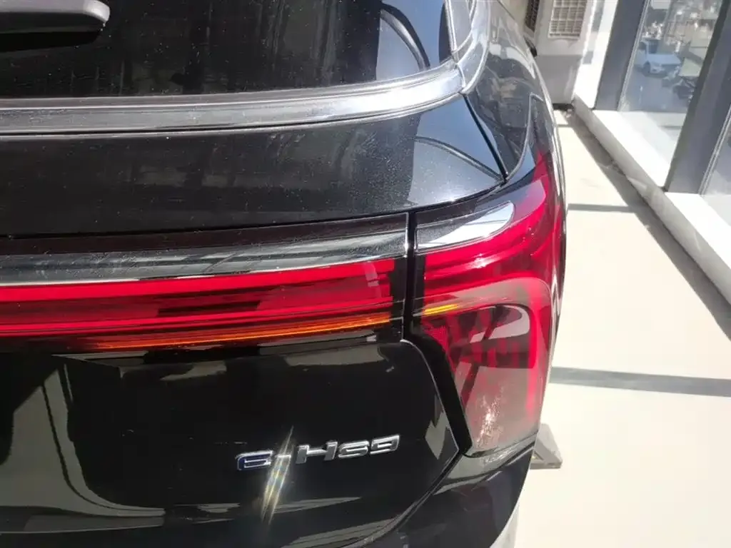 Hongqi E-HS9 2023 из CN, фото 2