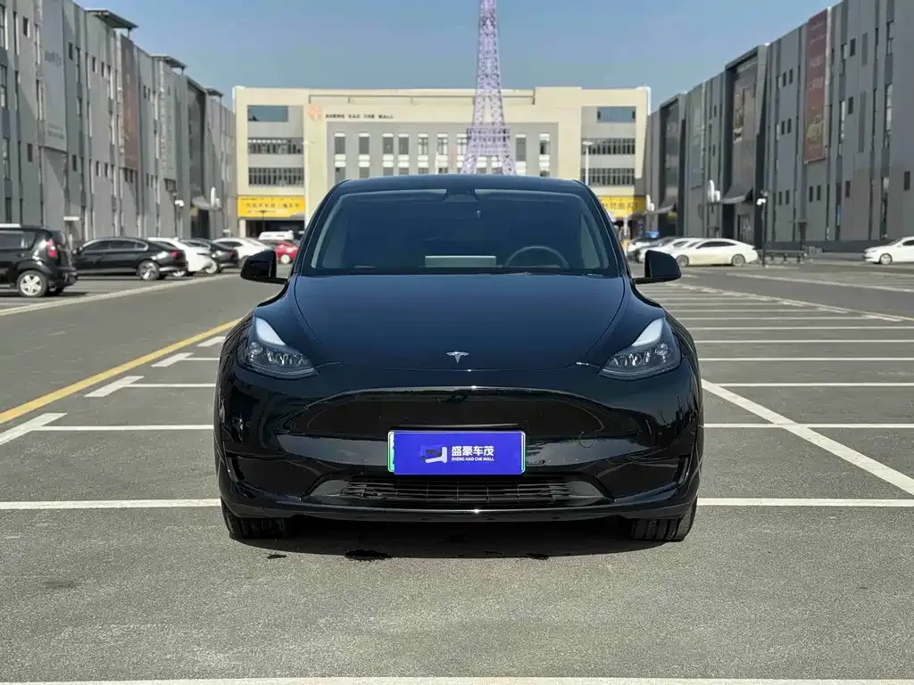 Tesla Model Y — фото 3