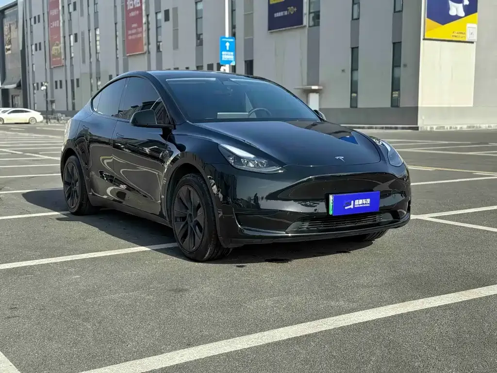 Tesla Model Y — фото 5