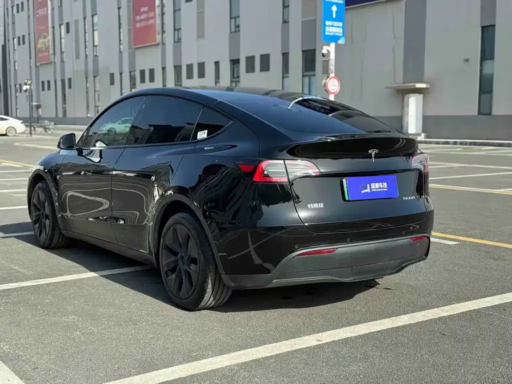 Tesla Model Y — фото 9