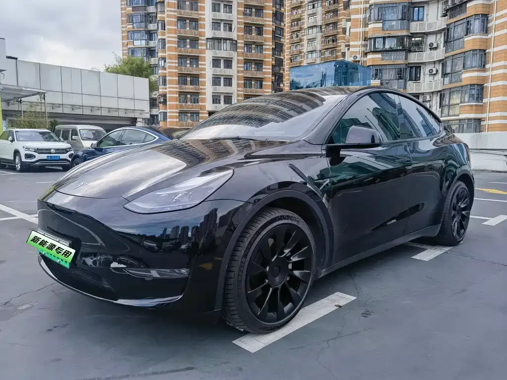 Tesla Model Y — фото 1