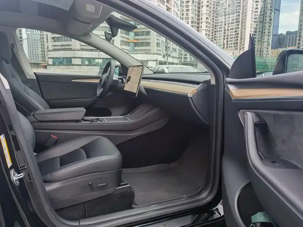 Tesla Model Y — фото 10