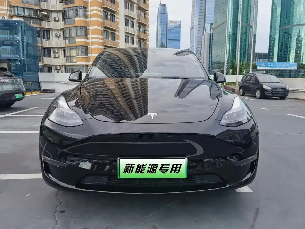 Tesla Model Y — фото 5