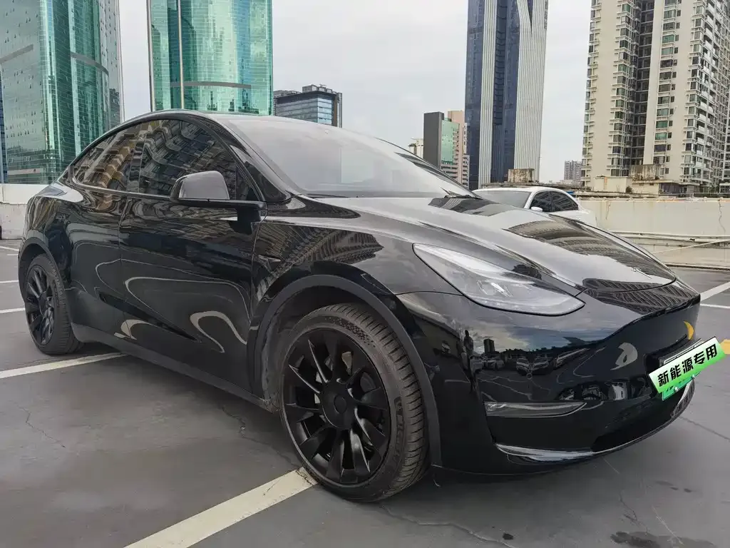 Tesla Model Y — фото 2