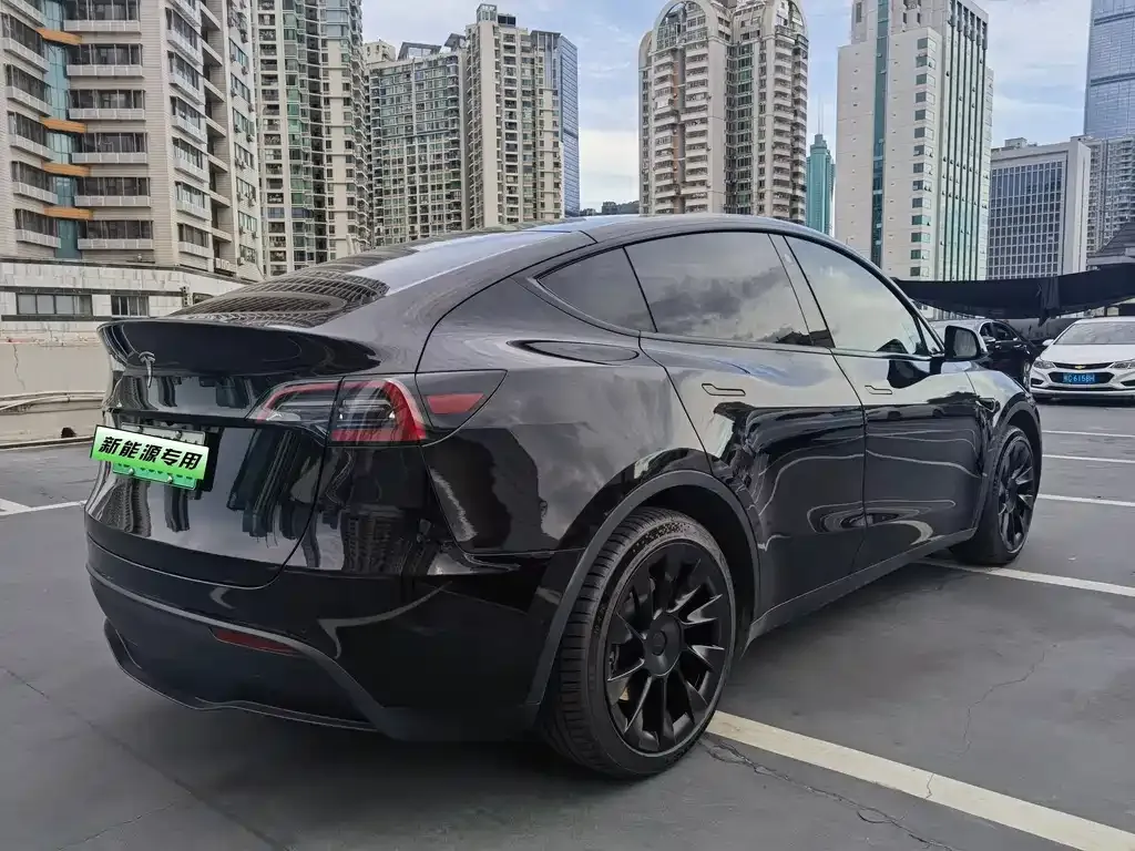 Tesla Model Y — фото 6