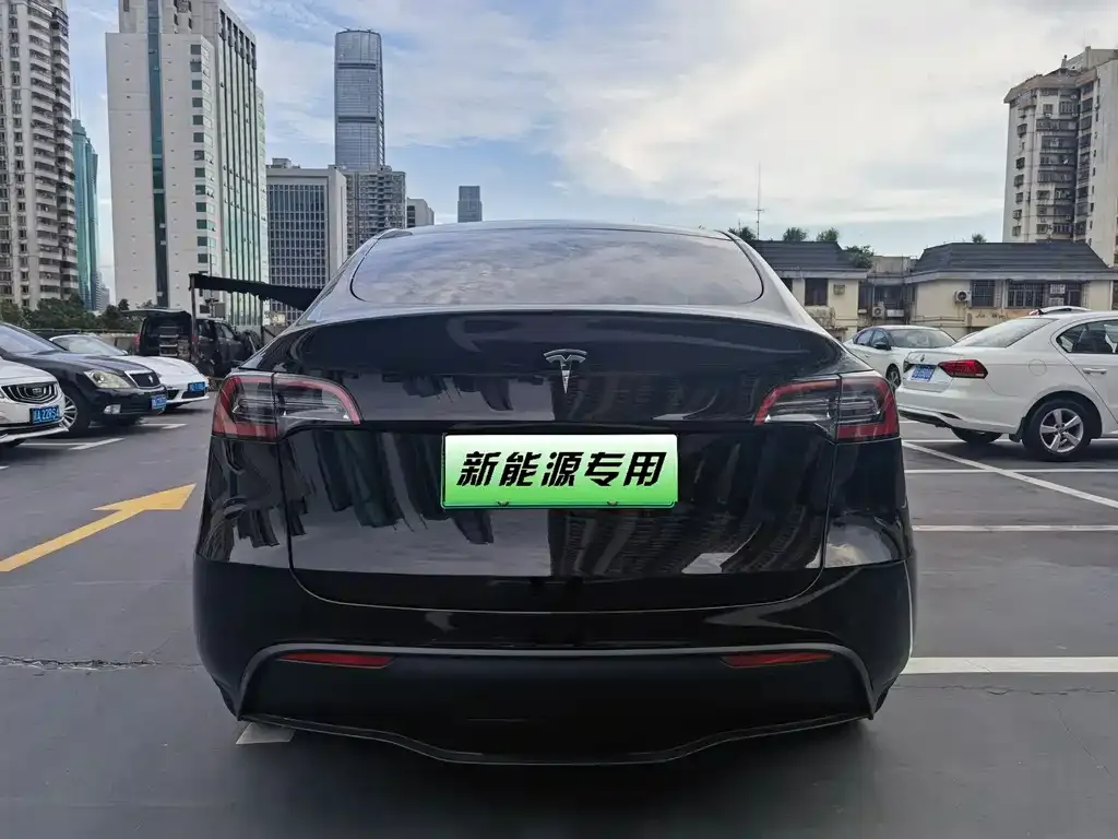 Tesla Model Y — фото 3