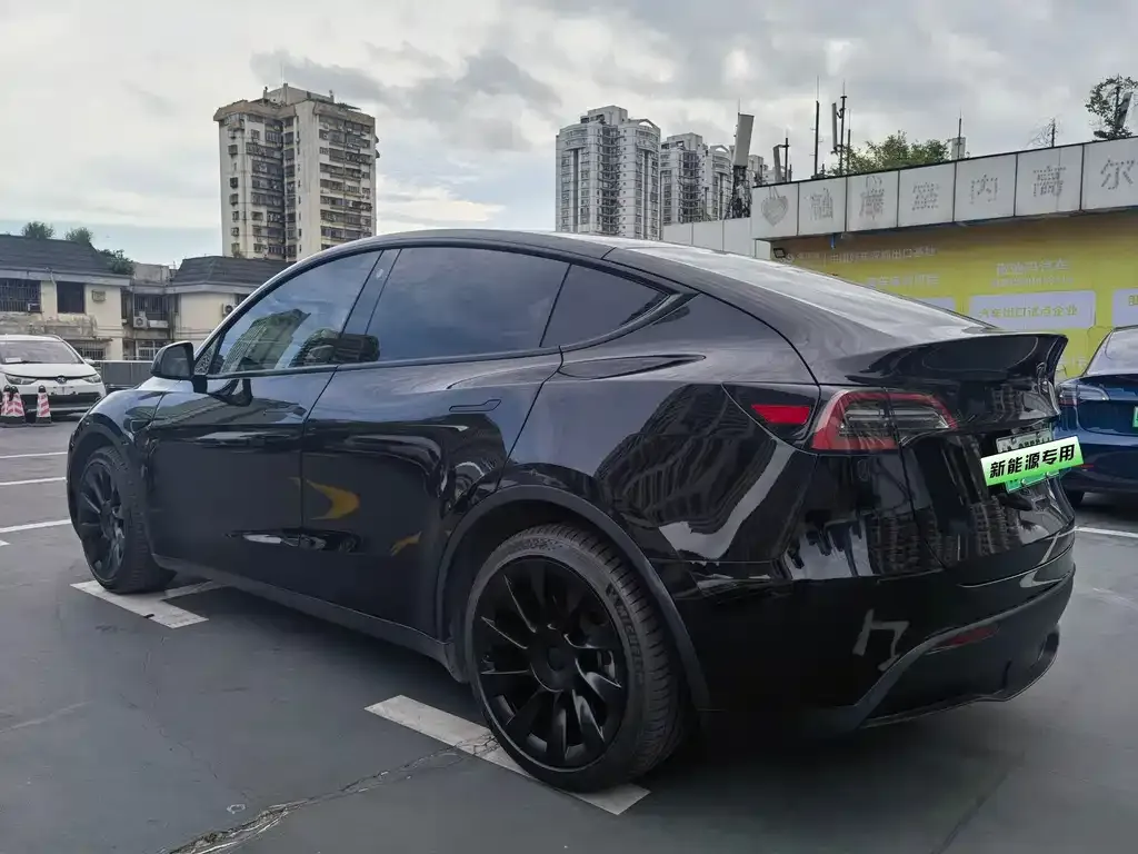 Tesla Model Y — фото 4