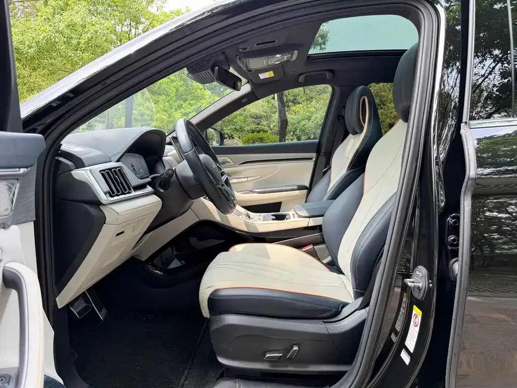 BYD PLUS New Energy 2023 из CN, фото 8