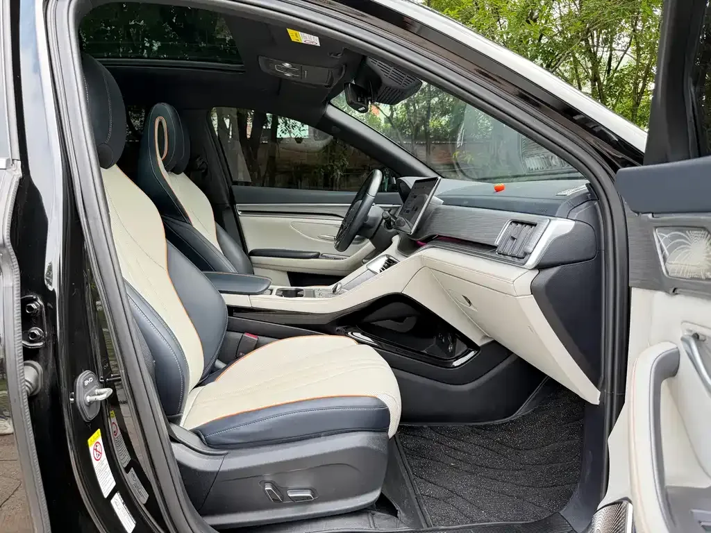 BYD PLUS New Energy 2023 из CN, фото 5