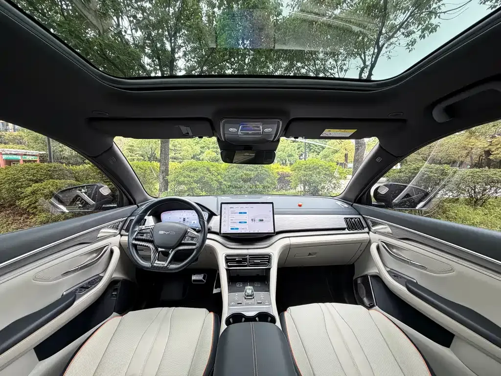 BYD PLUS New Energy 2023 из CN, фото 9