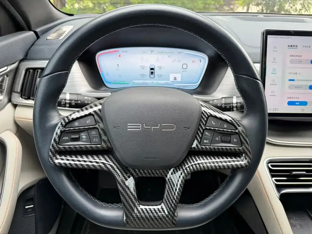 BYD PLUS New Energy 2023 из CN, фото 3