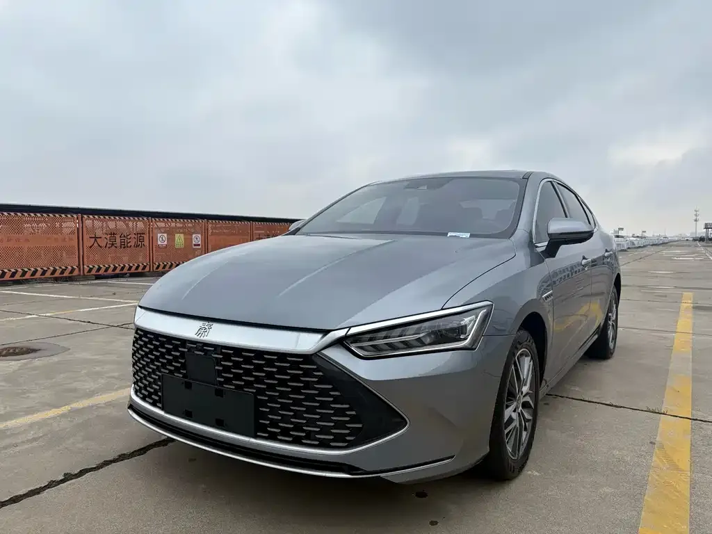 BYD Qin PLUS 2023 из CN, фото 1