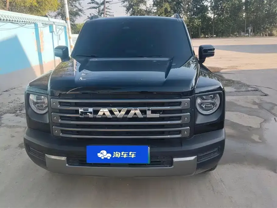 Haval Menglong New Energy 2024 из CN, фото 1