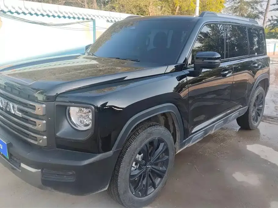Haval Menglong New Energy 2024 из CN, фото 9