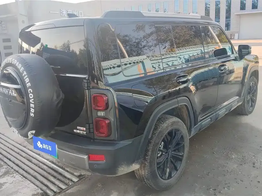 Haval Menglong New Energy 2024 из CN, фото 7