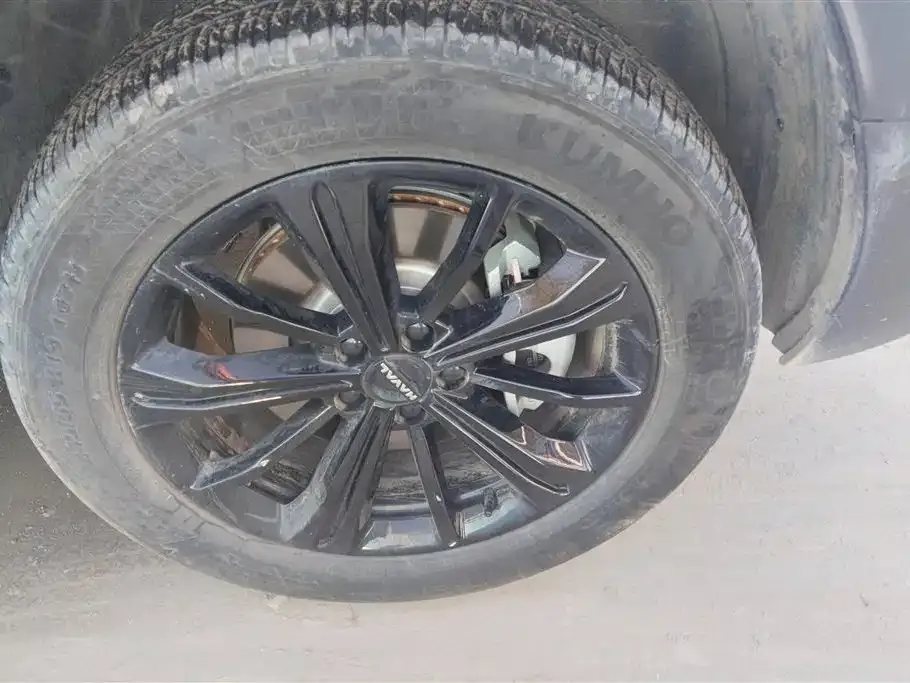 Haval Menglong New Energy 2024 из CN, фото 8