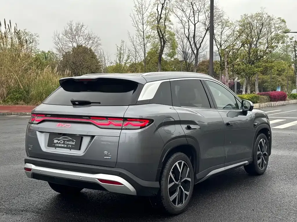 BYD L DM-i — фото 6