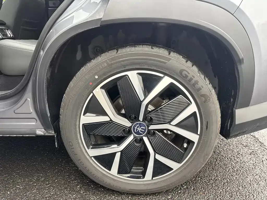 BYD L DM-i — фото 9