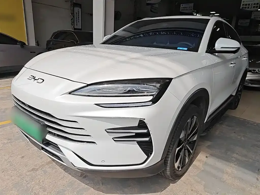 BYD PLUS New Energy — фото 1
