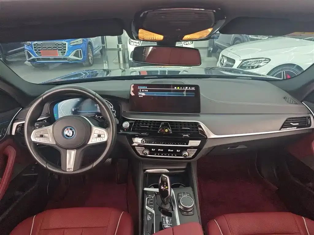 BMW 5 Series New Energy 2022 из CN, фото 4
