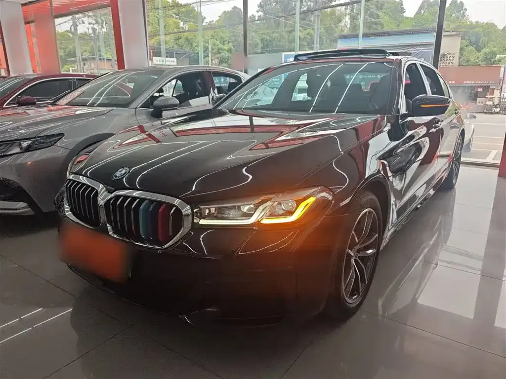 BMW 5 Series New Energy 2022 из CN, фото 7